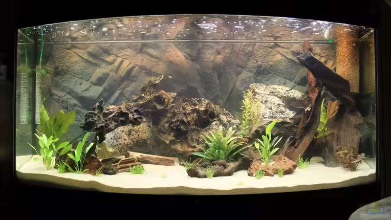 Neueinrichtung Neueinrichtung