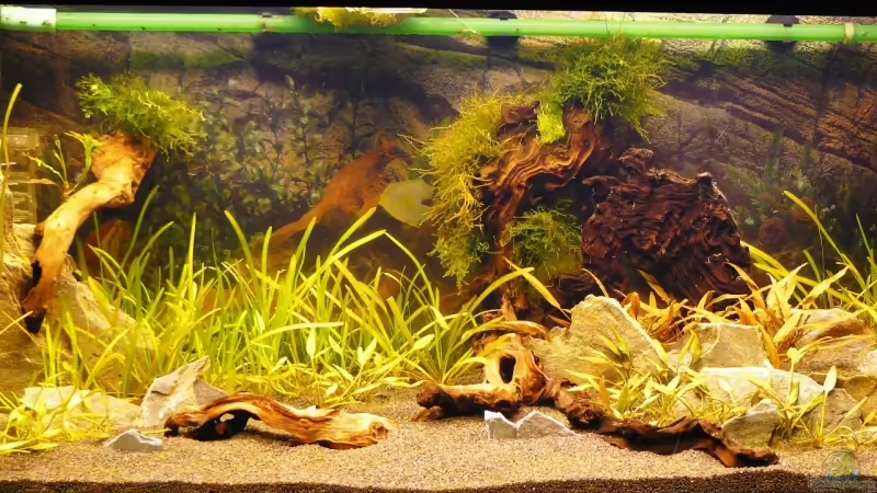 Neuer Anfang Neuer Anfang