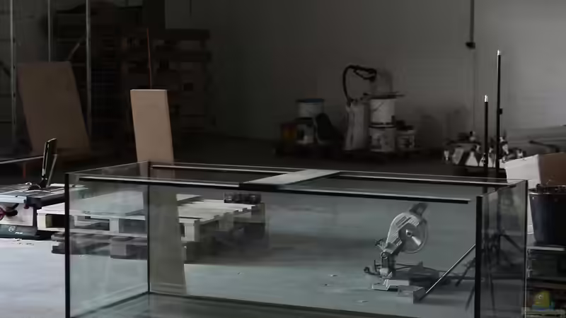 Neuer Job: Wie wird man Aquarienbauer? - Der umfassende Karriereleitfaden für Aquaristikliebhaber