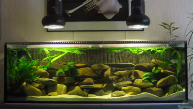 Neuer Steinaufbau. Neuer Steinaufbau.