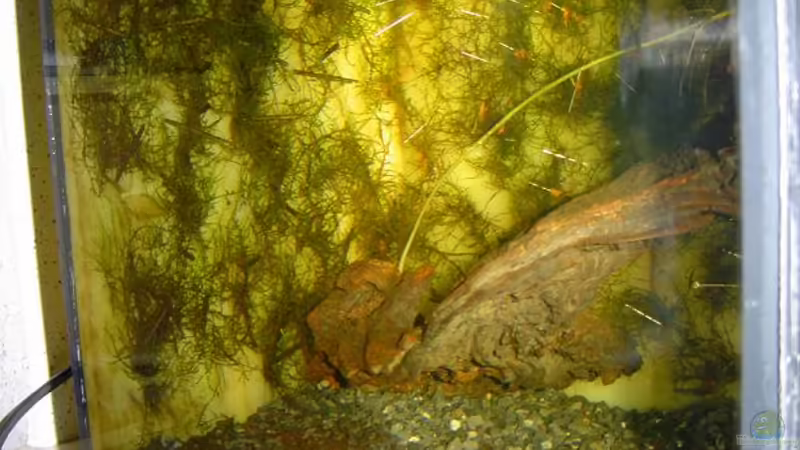 neues Bild der Seitenwand (20. November) neues Bild der Seitenwand (20. November)