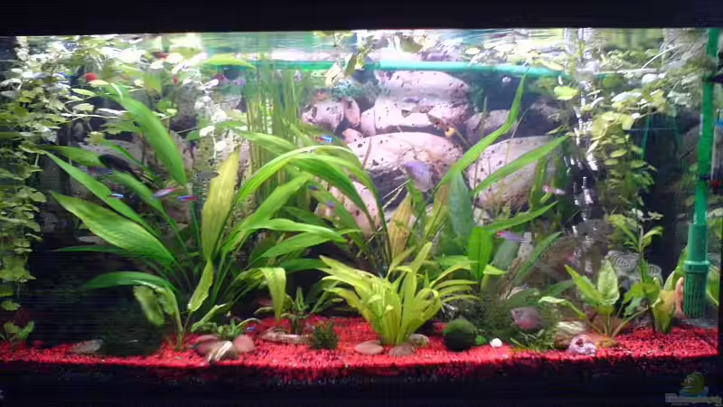 Neues Bild mit neuer Photorückwand Neues Bild mit neuer Photorückwand