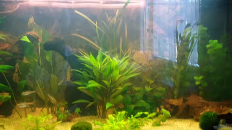 Neues Bild Neues Bild