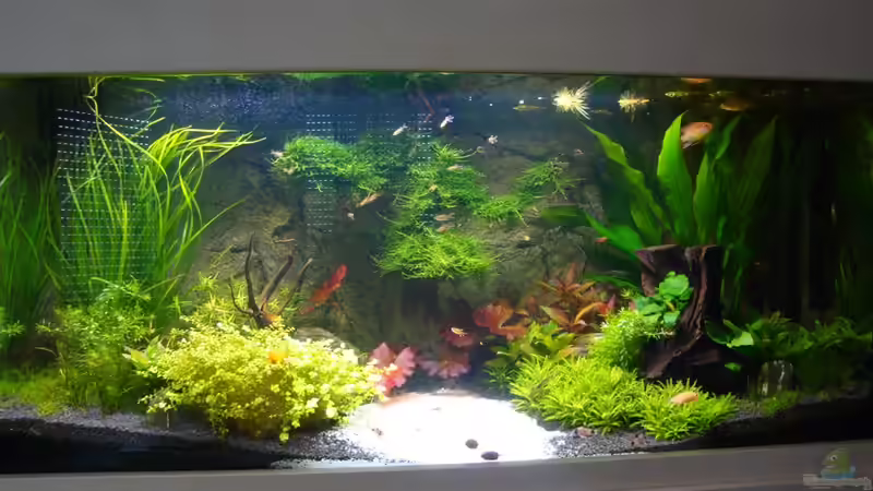 Neues Erscheinungsbild!!! Neues Erscheinungsbild!!!