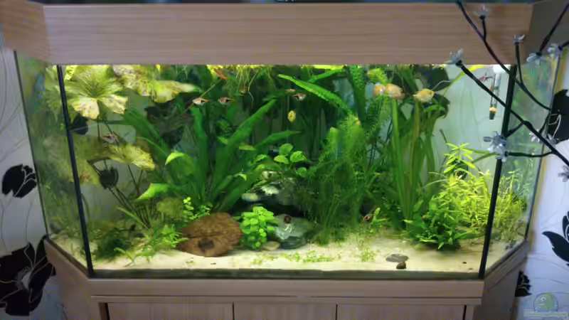 Neues Hauptbild Neues Hauptbild