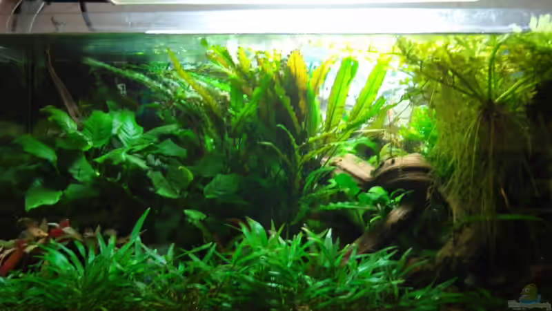 Neues Hauptbild Neues Hauptbild