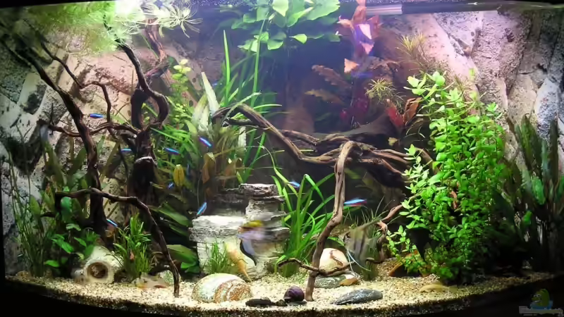 neues Hauptbild März 08 neues Hauptbild März 08