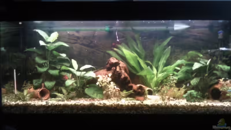 Neues Hauptbild nach Umgestaltung mit Folienrückwand Neues Hauptbild nach Umgestaltung mit Folienrückwand