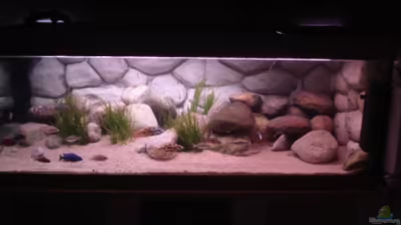 neues Hauptbild neues Hauptbild