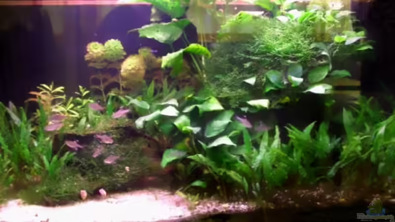 Neues Hauptbild Neues Hauptbild