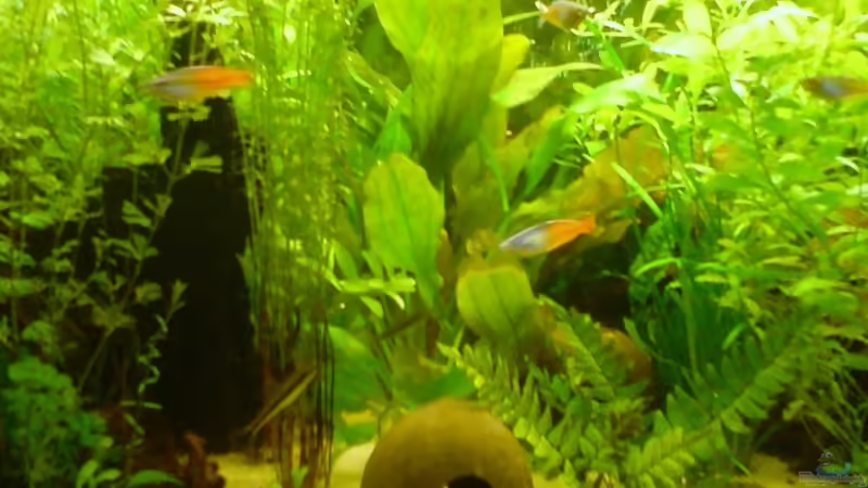 Neues Hauptbild Neues Hauptbild