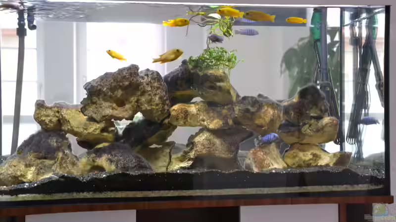 Neues Outfit. Nun notgedrungen als Raumteiler. Neues Outfit. Nun notgedrungen als Raumteiler.