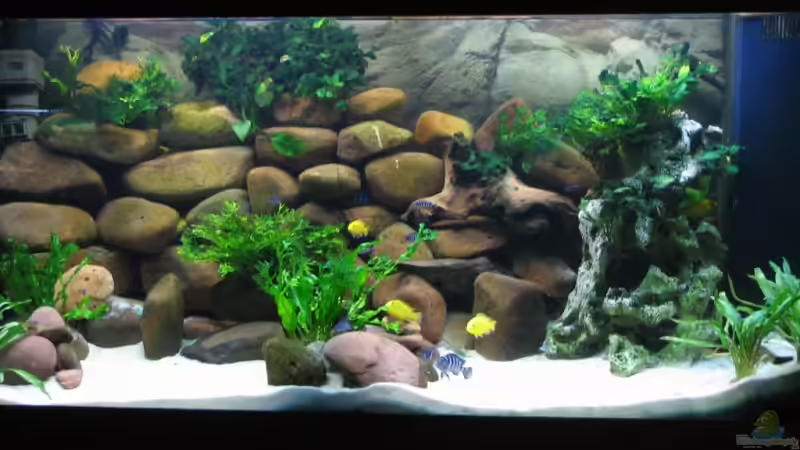 Neues Startbild nach umbau Neues Startbild nach umbau