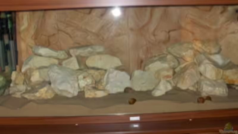 neues tanganijkabecken im entstehen neues tanganijkabecken im entstehen