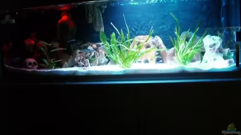 neuster Stand im Original nicht so hell neuster Stand im Original nicht so hell