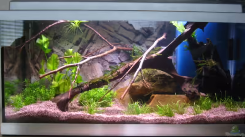 nicht ganz aktuell nicht ganz aktuell