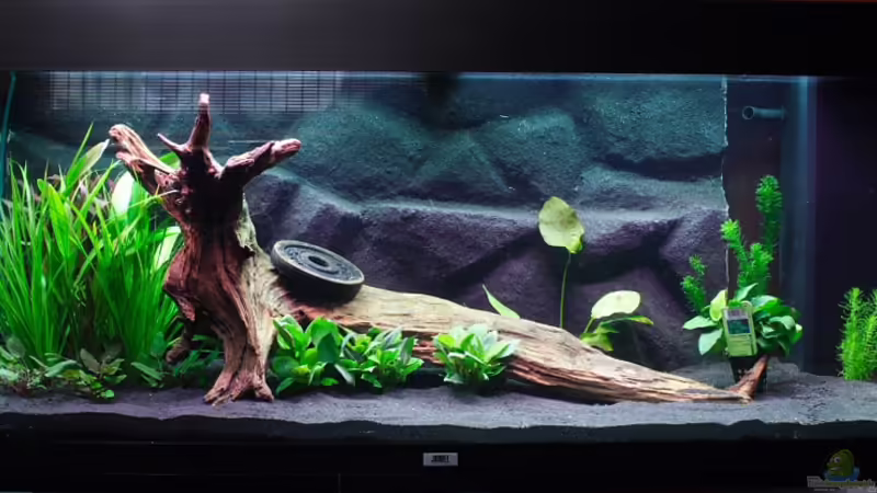 Njoa, geht schonmal für den Anfang Njoa, geht schonmal für den Anfang