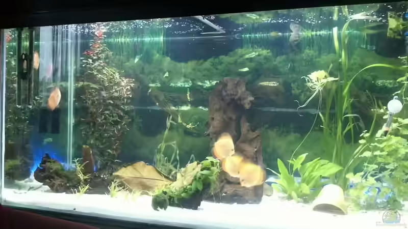 Noch nicht fertig!!! Noch nicht fertig!!!