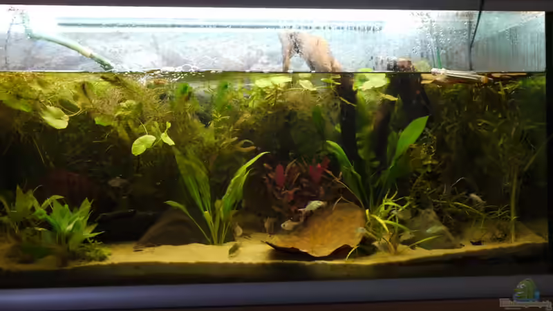 Noch nicht komplett befüllt Noch nicht komplett befüllt