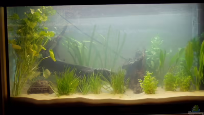 Noch ohne abdeckung der Rückscheibe und gerade eingerichtet. Noch ohne abdeckung der Rückscheibe und gerade eingerichtet.