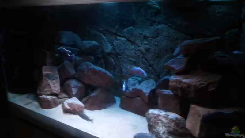 Nonbunalaketank Nonbunalaketank