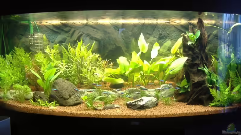 November 2007 November 2007