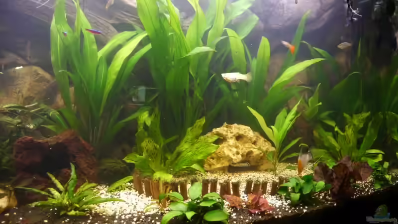 nur ein kleiner ausschnitt,der rest kommt noch nur ein kleiner ausschnitt,der rest kommt noch