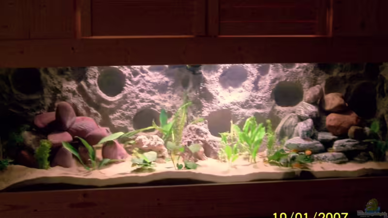 Nur mit Pflanzenlicht beleuchtet! Nur mit Pflanzenlicht beleuchtet!