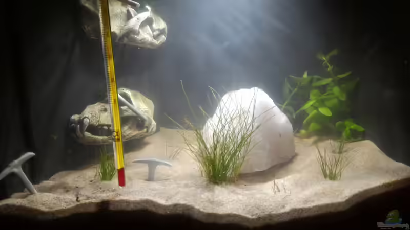 Oh was ist das Oh was ist das