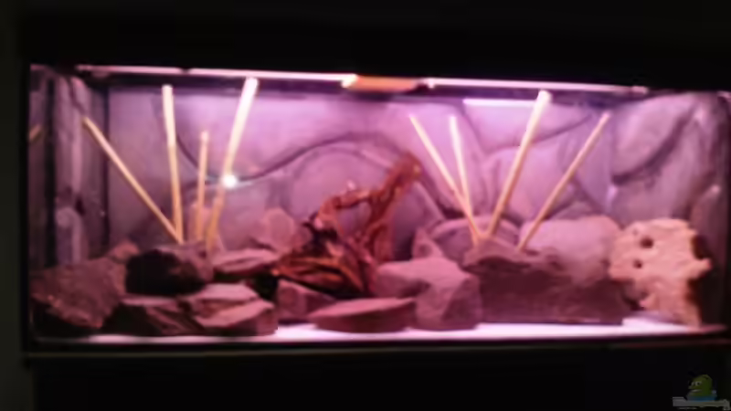 ohne sand fische und wasser ohne sand fische und wasser