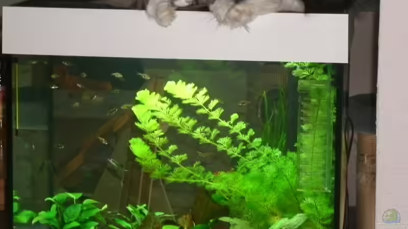 ohne Worte !!! ohne Worte !!!