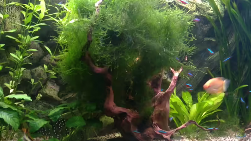 Oktober 2010 Oktober 2010