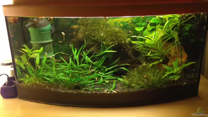 Oktober 2015 Oktober 2015