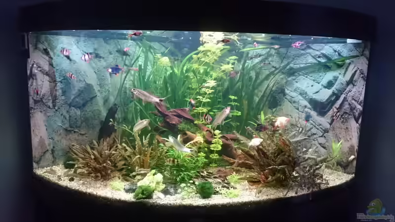 Oktober 2017 Oktober 2017