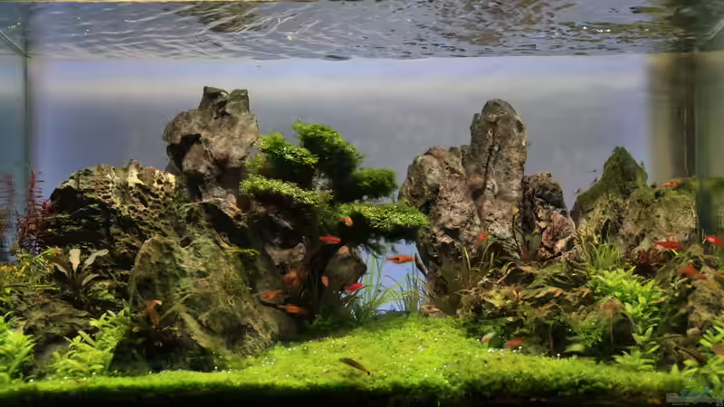 On The Rocks On The Rocks