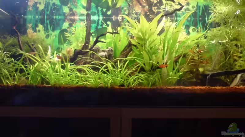 Ordentlicher wuchs ;) Ordentlicher wuchs ;)