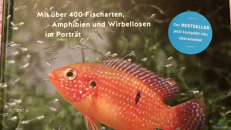 Orientierung in der Aquaristik - Fisch-Arten 2/2