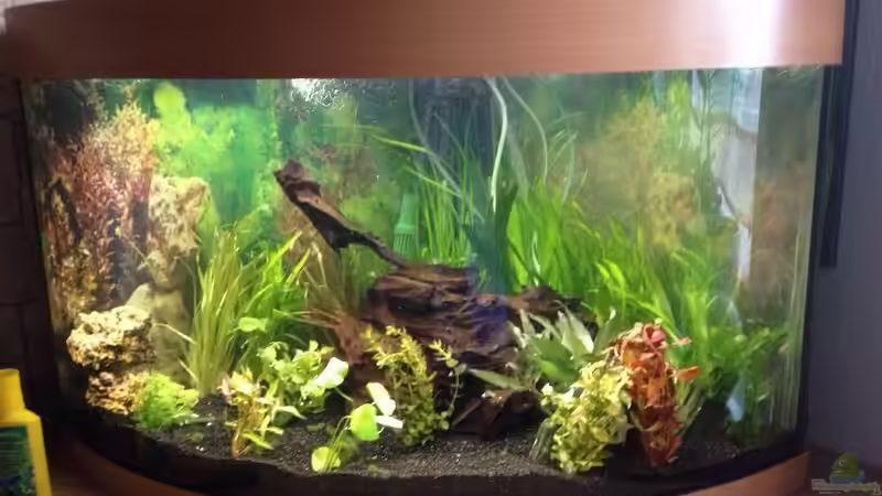 Panorama Eckbecken Panorama Eckbecken