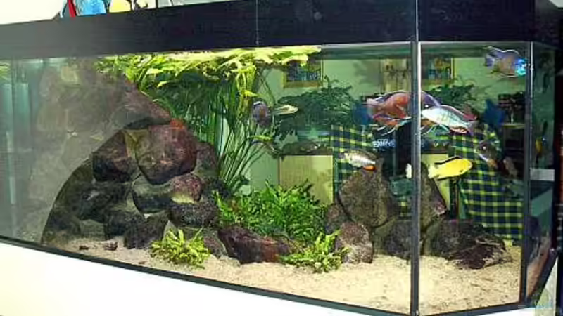 Panorama-Raumteiler Panorama-Raumteiler