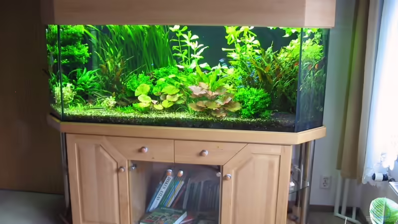 Panoramaaquarium 750l. Panoramaaquarium 750l.