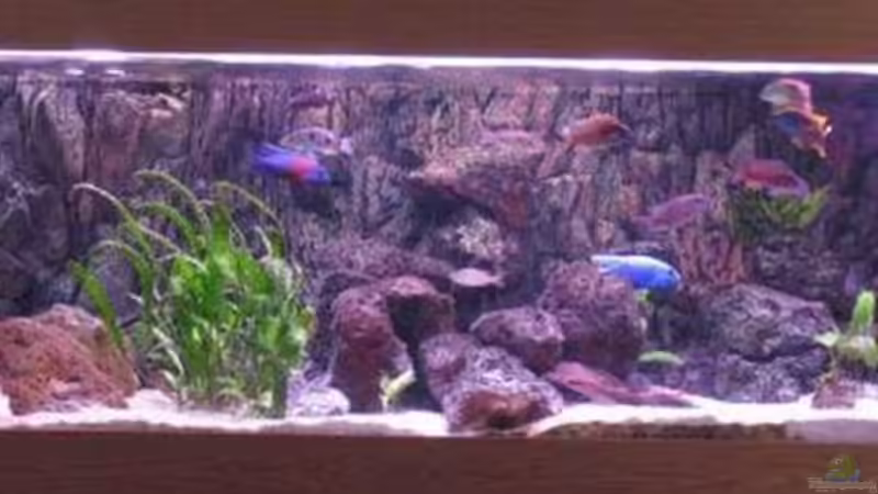 Panoramabild (nur die 2 Lake-Lampen an) Panoramabild (nur die 2 Lake-Lampen an)