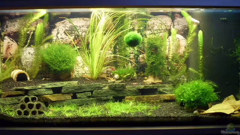 Peknyi Hideout Peknyi Hideout