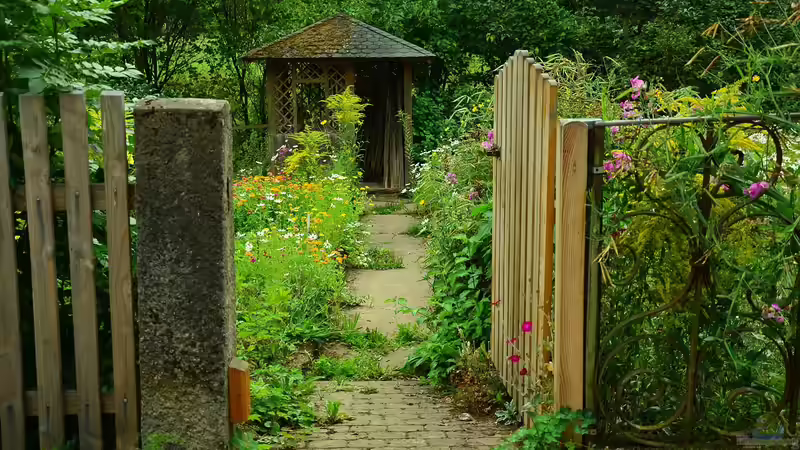 Pflanzen für den Naturgarten: Das sind die Gos und No-Gos