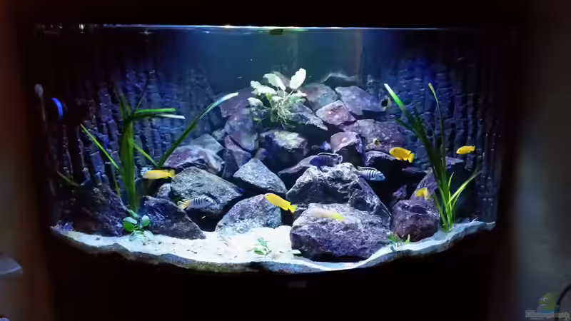 Pflanzen verkauft ;) Pflanzen verkauft ;)