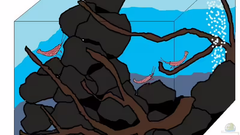 Plan meiner neuesten Missetat ;-) Plan meiner neuesten Missetat ;-)