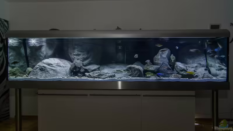 Predators World Predators World