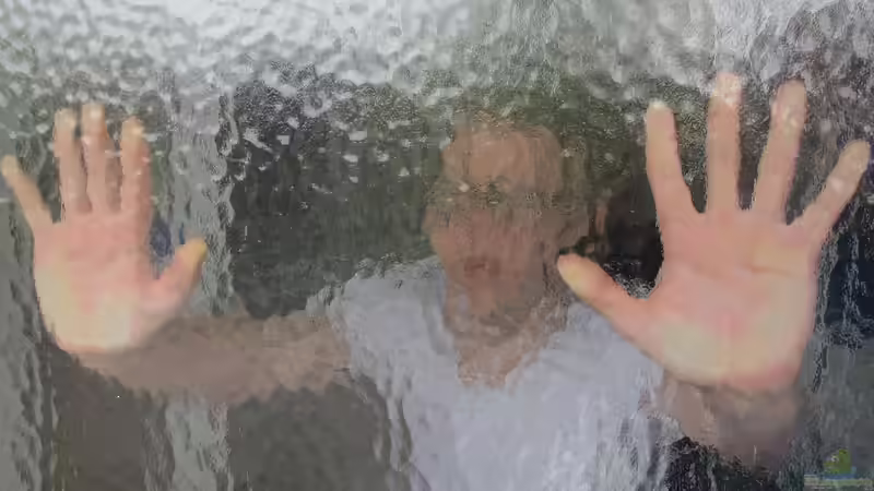 Privatsphäre neu gedacht: Wie Sie Ihre Fenster stilvoll schützen können