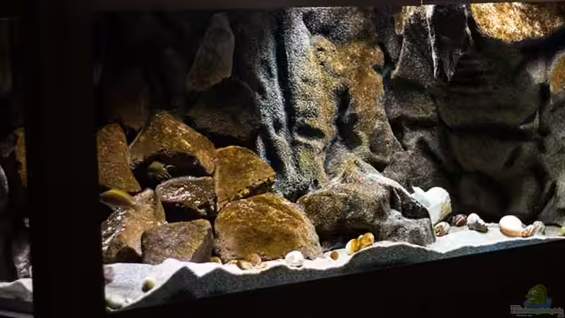 Projekt `SandStorm - Ranga Cave` Projekt `SandStorm - Ranga Cave`