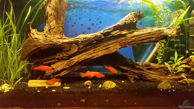 Räuberhöhle Räuberhöhle