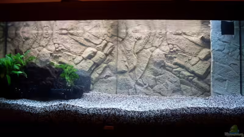 rechts der juwelfilter mit der verkleidung von juwel rechts der juwelfilter mit der verkleidung von juwel